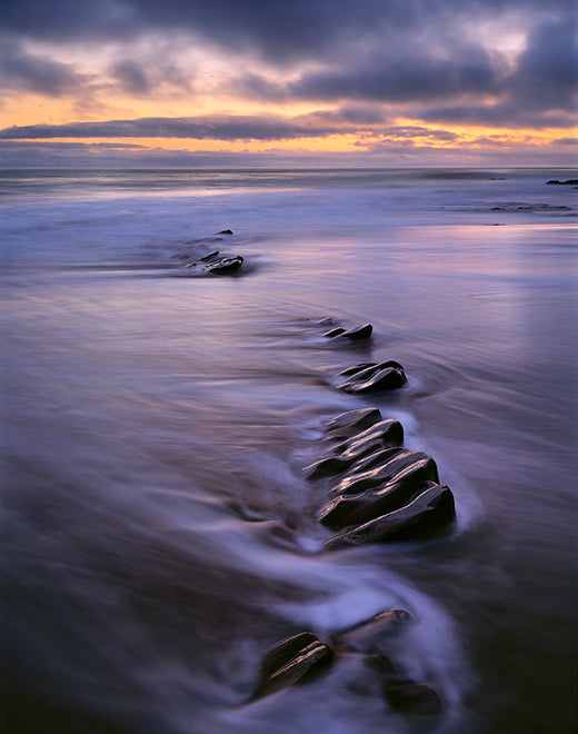 Kodiak Greenwood | Dark Sea