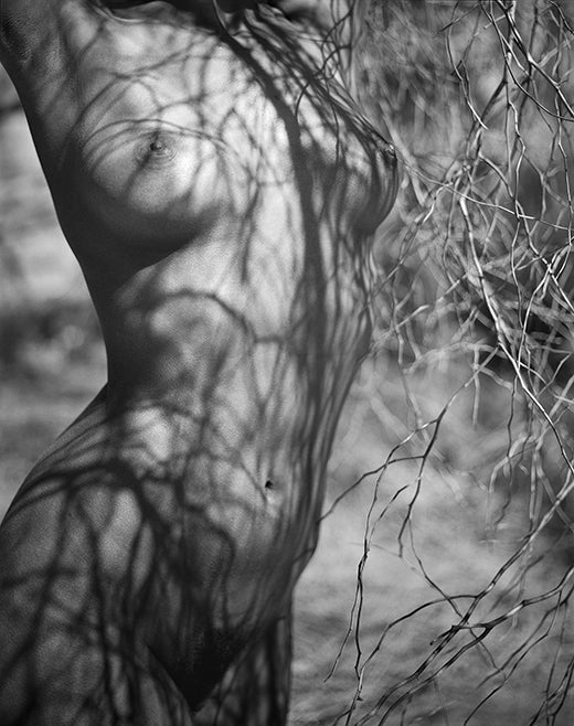 Kodiak Greenwood | Untitled, Nude